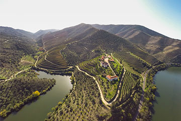 Burmester (since 1750)